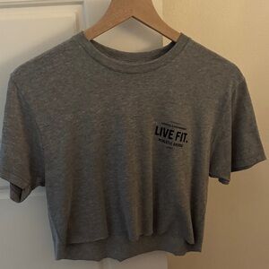 Gray LVFT Crop Top